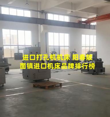 进口打孔机机床 阳春陂面镇进口机床品牌排行榜